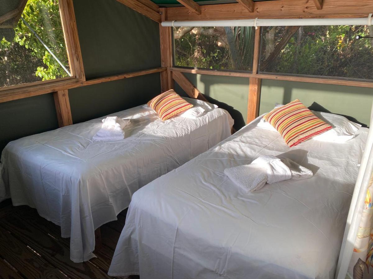 Virgin Islands Campground Water Island Eksteriør billede